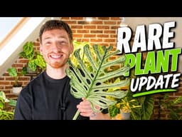 Rare Plant Update 🌿 New Leaves, Growth & Plant Tour!