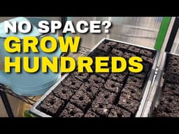 I’m My Own Nursery | How to Start Hundreds of Seeds in a Tiny Space
