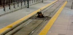 Brawl at Aurora RTD station spills onto tracks; police seek public’s help