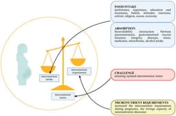Optimisation of Micronutrient Supplementation During Pregnancy: Interactions Between Bioactive Compounds, Their Impact on Health, and Regulatory Considerations