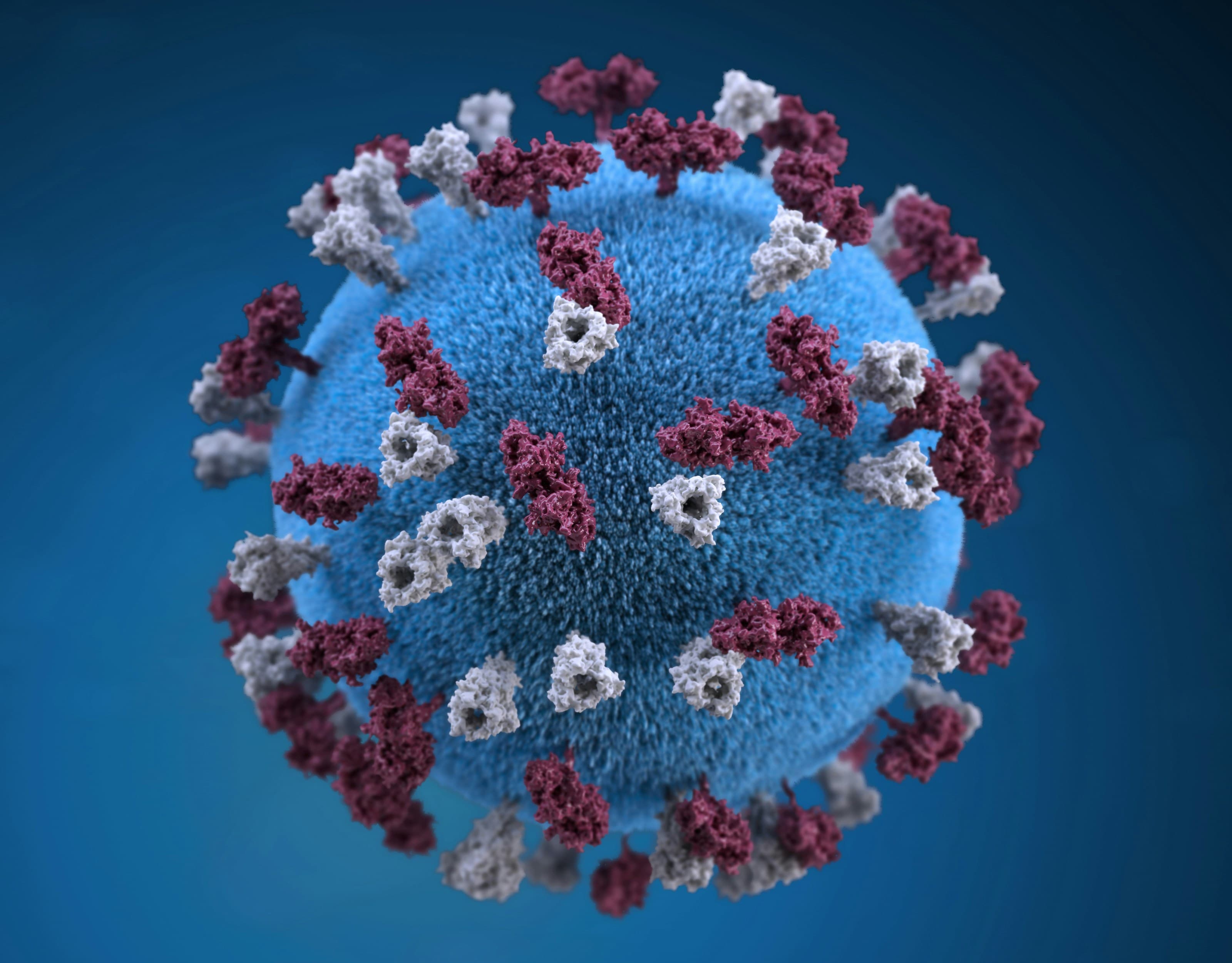 When Public Health Denies Pathogens, Children Pay the Price