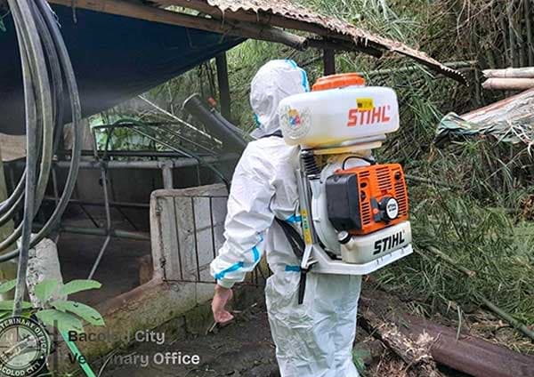 BACOLOD: Bacolod logs ASF cases in fifth village
