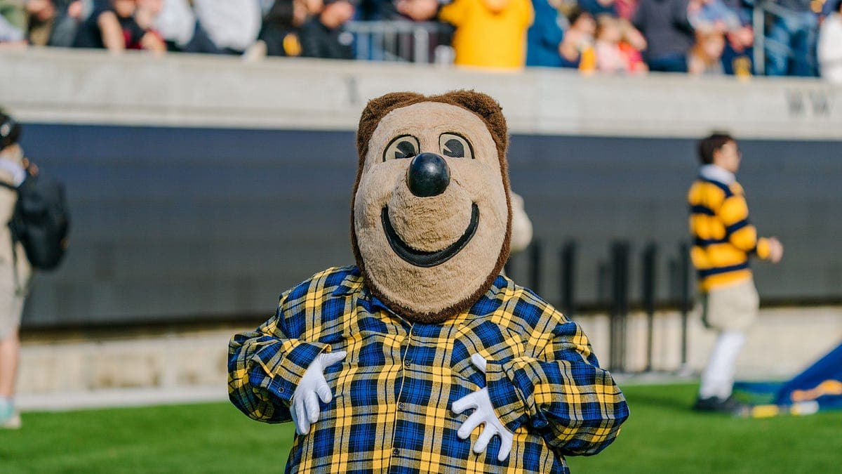 Cal Depth Chart Discussion and Projections - Defensive Coaching Staff