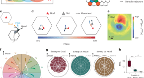 Hippocampus - Latest research and news