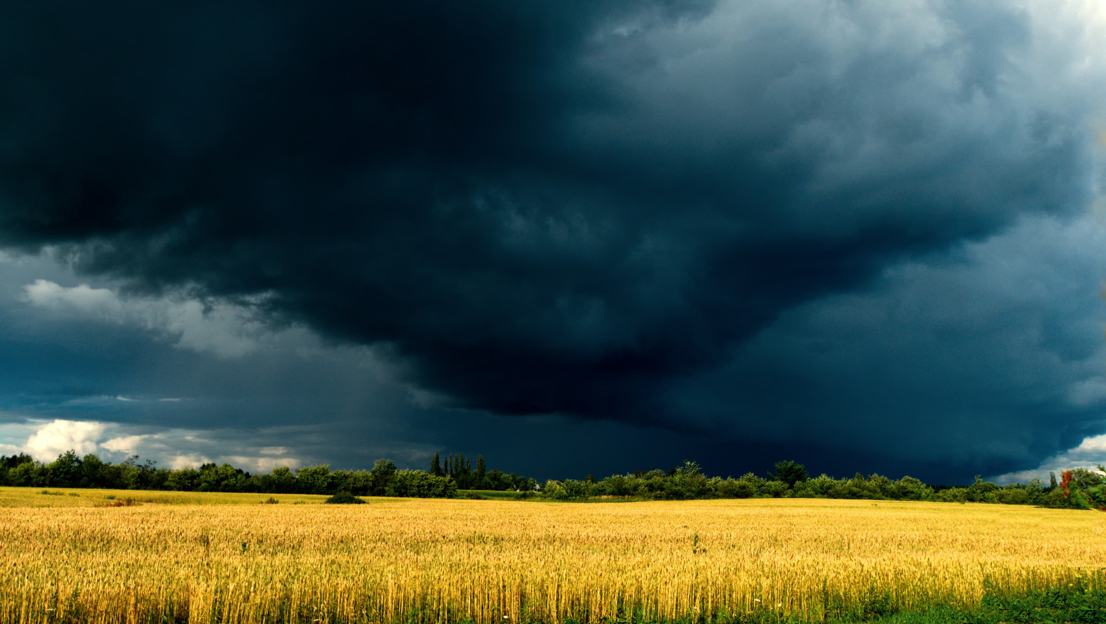 The Angry Breath Prayers - Sarah Bessey's Field Notes
