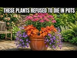 9 Lazy Perennials That Thrive in Pots & Come Back Every Year (No Maintenance Container Gardening)