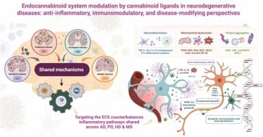 The role of cannabinoid ligands in neurodegenerative diseases