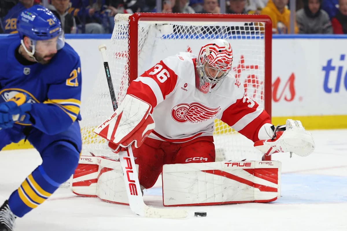 Know Your Enemy: Sorry Red Wings Should Be Easy Pickings For ...