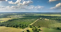 DeSantis Signs SB 686 Expanding Fast-Track Development on Florida Farmland