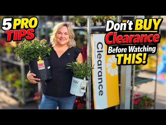 Late-spring maintenance, renos & off-grid checklists