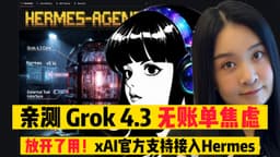 我也被 Grok 骗了，x搜索，生成图，语音都能用！超级省钱，顶流模型接入 Hermes 无限续杯的畅快感！