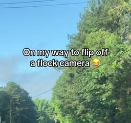 Get the Flock out of Here 
