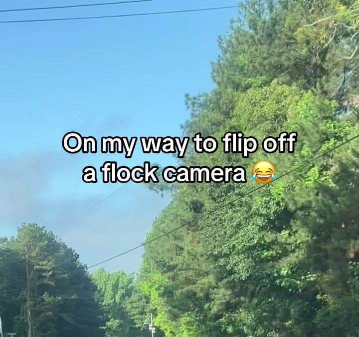 Get the Flock out of Here 