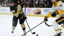 Highlights: Predators at Bruins (10/22)