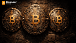 Traders Hedge Hard: Bitcoin Put Volume Outpaces Calls 54.87% to 45.13% – Markets and Prices Bitcoin News