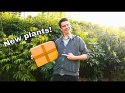 5 New plants for tricky conditions