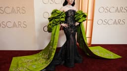 Stars showcase vibrant fashion at the Oscars red carpet