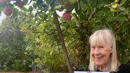 Celebrate Sonoma Apples, a new event in honor of Sebastopol’s favorite fruit