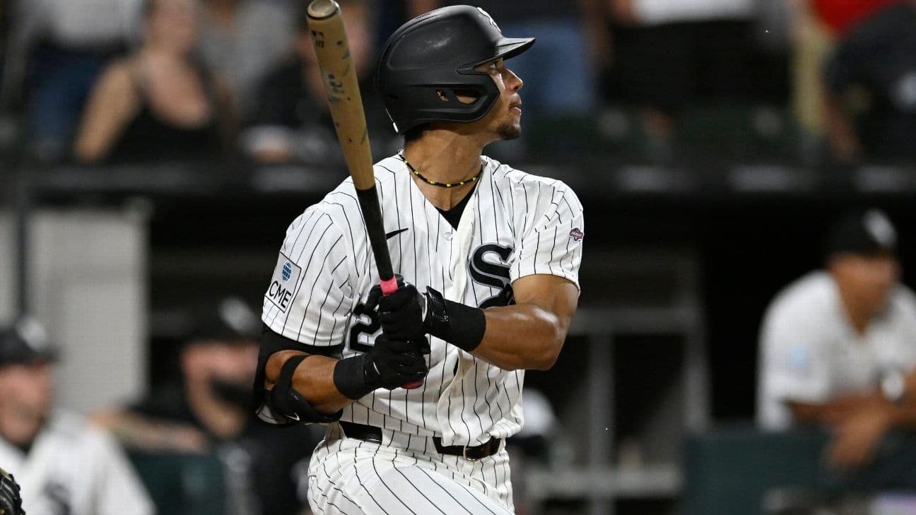 White Sox's Braden Montgomery hits 2-run walk-off HR in ...