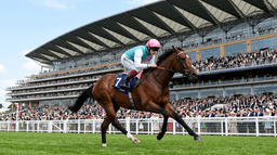 Has Frankel Sired An Epsom Derby Winner? As Offspring Benvenuto Cellini & Item try for Classic glory