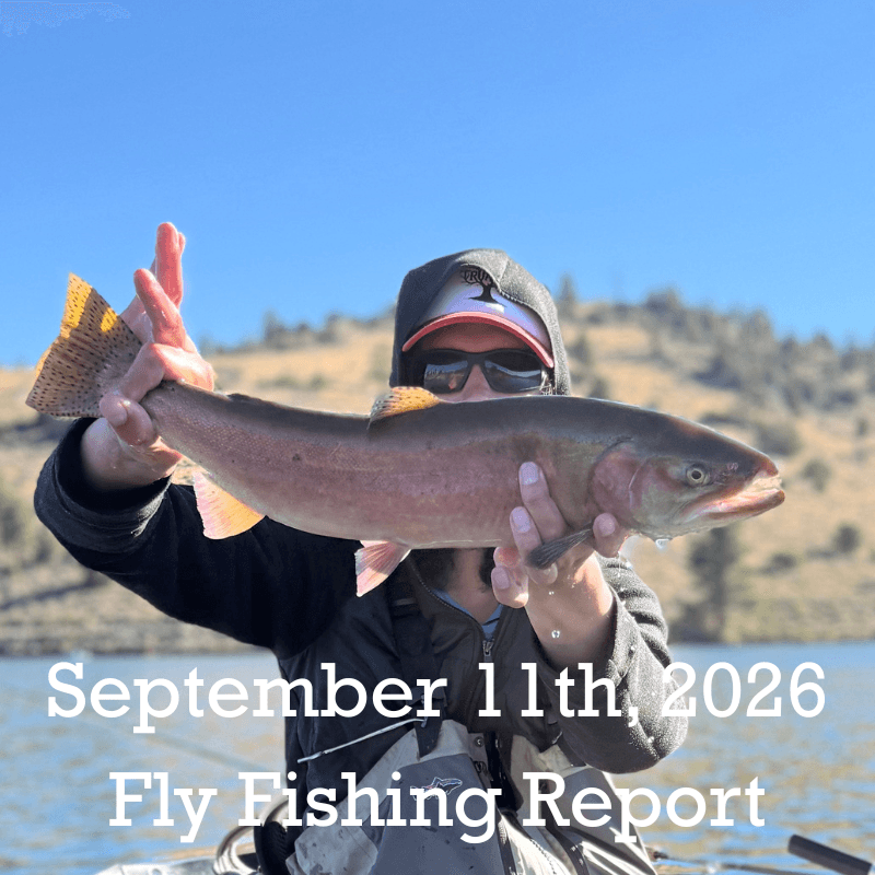 September 11th Fly Fishing Report for the Truckee River, Little Trucke