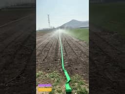 Watering the Soil Without Wasting a Drop: How Punctured Plastic Pipes Keep Farms Green