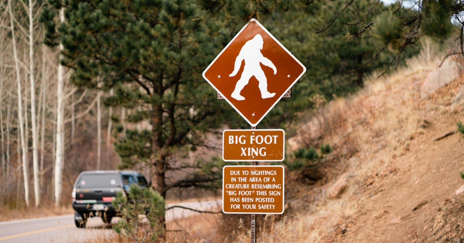 Why Bigfoot Believers Don’t Change Their Minds | Psychology Today South Africa