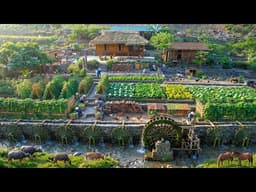 From Free Materials to a Solid Stone Farm – Growing Vegetables & Off-Grid Life in Vietnam