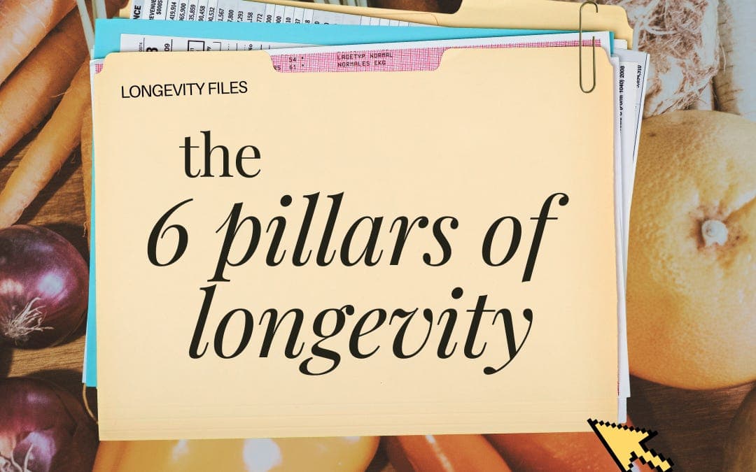 Where Longevity Comes From