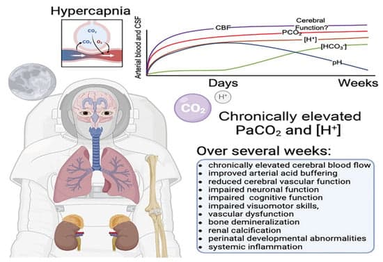 Carbon Dioxide Inhalation—Risks for Health or Opportunity for Physical Fitness Development?