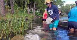 A Lasting Partnership for Florida's Living Shorelines