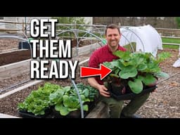 Before You Plant Anything… Do This First (Spring Garden Prep)