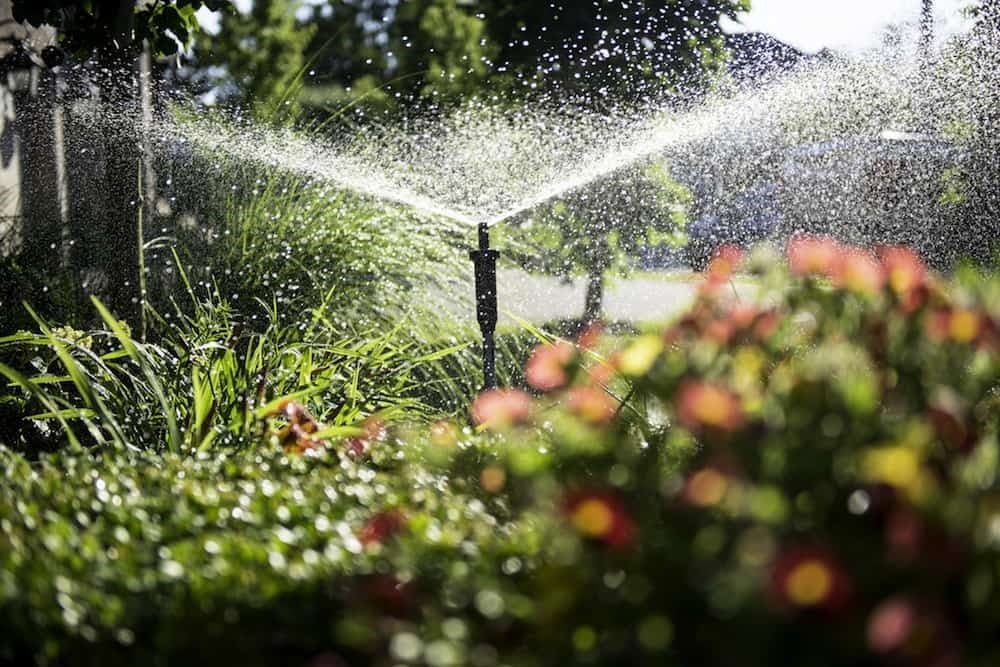What are Vancouver's lawn watering restrictions for 2026?  - Vancouver Is Awesome