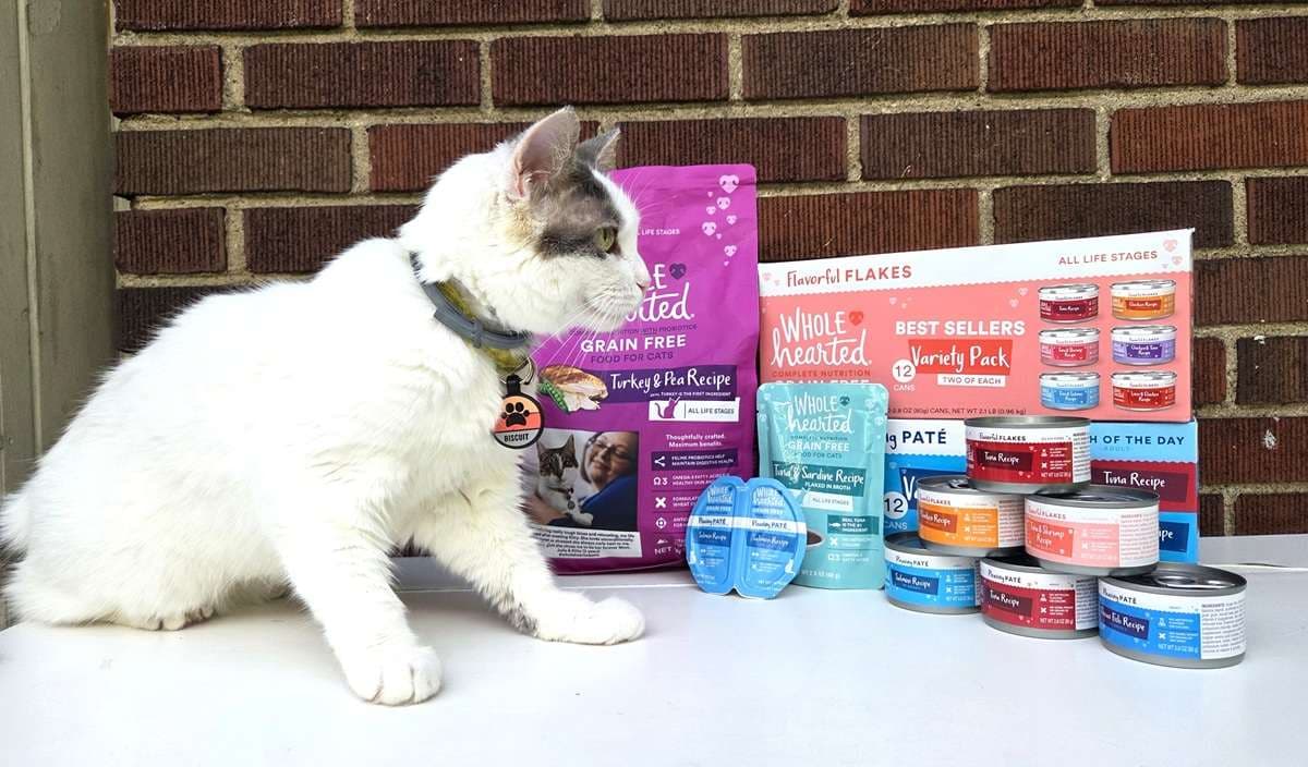 Unbiased WholeHearted Cat Food Review - Cats.com