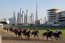  Wood Memorial Stakes Picks, Odds & Preview (Apr 4) - Vegas Odds 