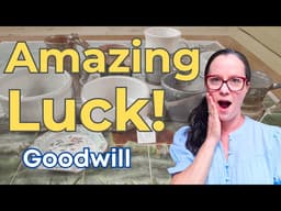 Lucked Out at Goodwill with BIG Studio Pottery Haul!