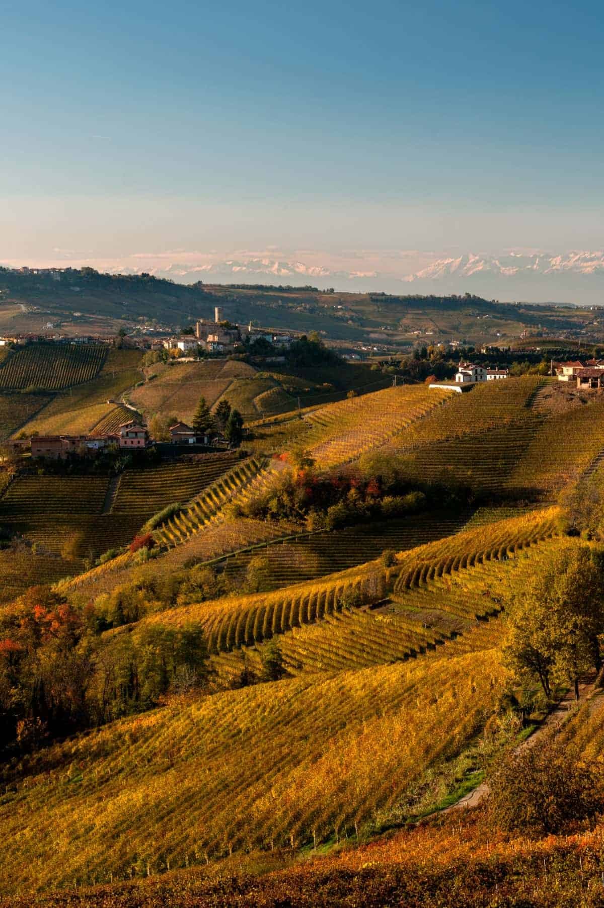 Autumn Recipes from Around the World