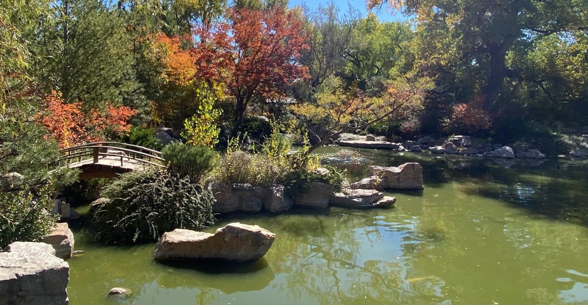 This New Mexico Japanese Garden Hides Koi Ponds ...