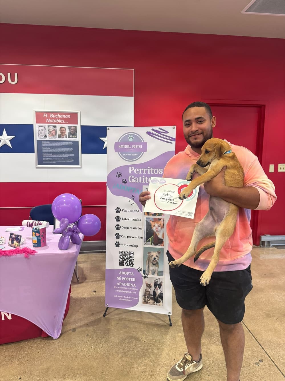 National Foster Alliance brings Pet adoption opportunities ...
