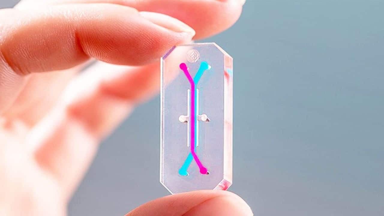 Inside NASA’s strange experiment: Why ‘organ chips’ went to space with astronauts