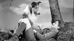 15 Classic TV Shows With Dark Secrets Nobody Talked About at the Time - AOL