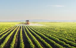 SNAP and the Farm Bill: What's at Stake?