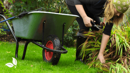 July Garden Checklist: Simple Ways to Keep Your ...