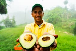 Mission Produce: A Post-Merger Assessment