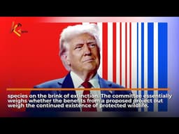 Trump to revoke protections for endangered species in Gulf of Mexico