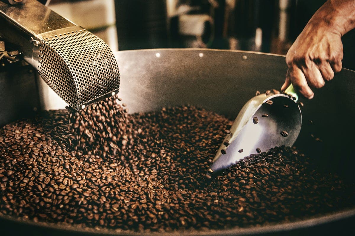 How to Pour-Over Blue Mountain №1 Coffee ...