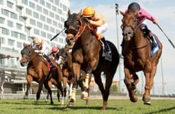 Speed figures: Sunday's HRN top 10 + fastest maiden ...