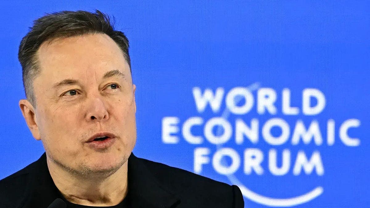 Americans Live in the 'United States of Oligarchy' With Elon Musk at the Top