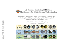 X-Stream: Exploring MLLMs as Multiplexers for Multi-Stream Understanding