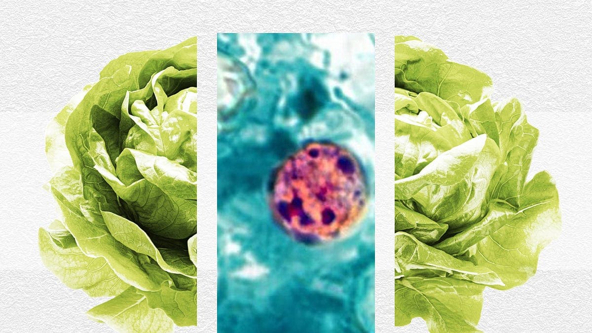 How to Avoid Getting That Nasty GI Parasite in the News